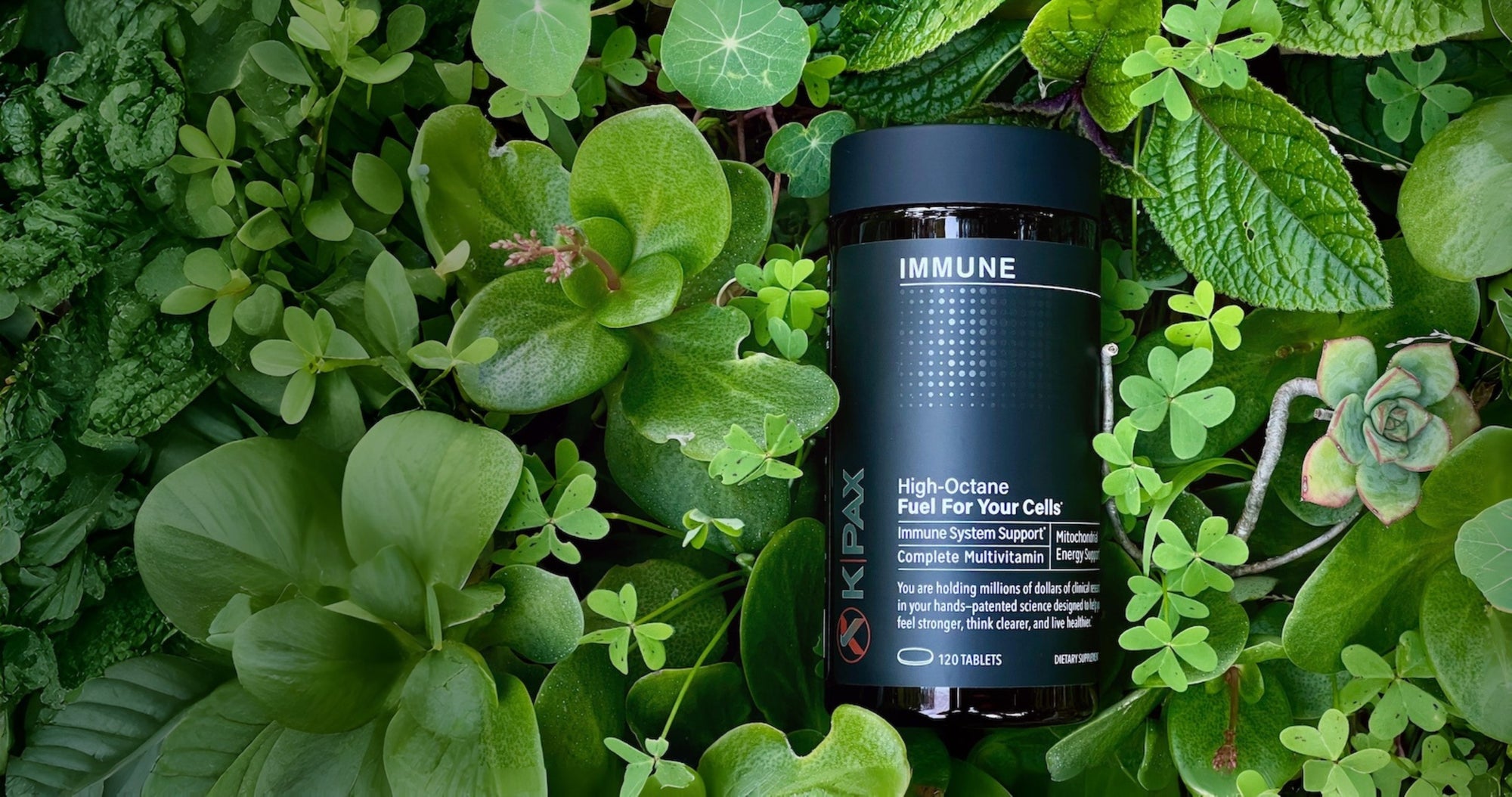 Supplement bottle labeled surrounded by green leaves