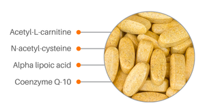 KPAX Immune tablets with the mitochondrial complex ingredients labelled: acetyl-L-carnitine, N-acetyl-cysteine, alpha-lipoic acid and coenzyme Q10