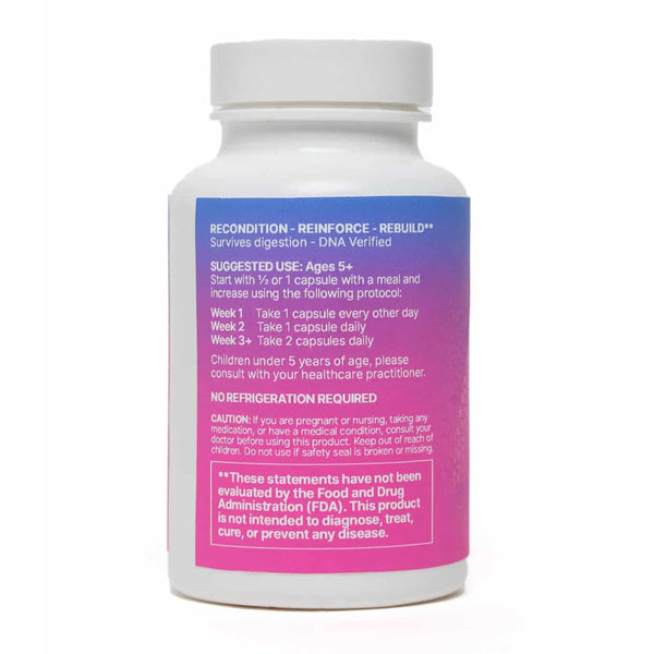 Mega Sporebiotic - 60 Capsules